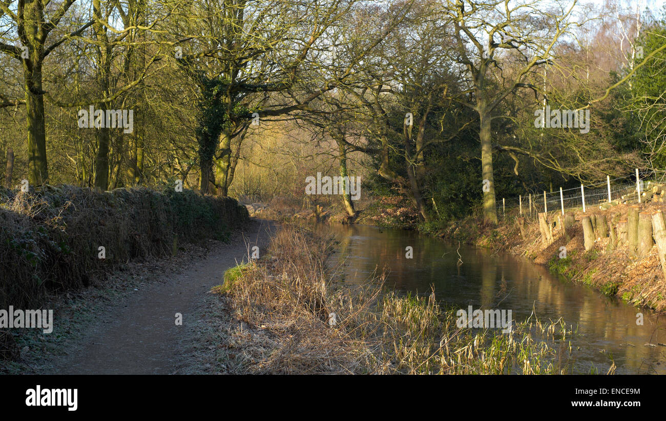 Cromford Canal, Derbyshire Foto Stock