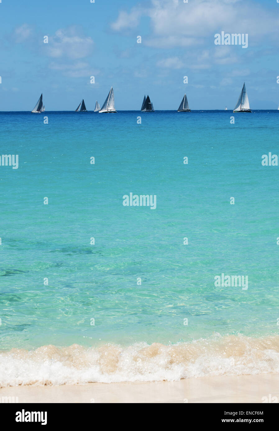 St Barth, St. Barths, Saint-Barthélemy, French West Indies, Antille Francesi: barche a vela durante la regata Les Voiles de Saint Barth 2015 Foto Stock