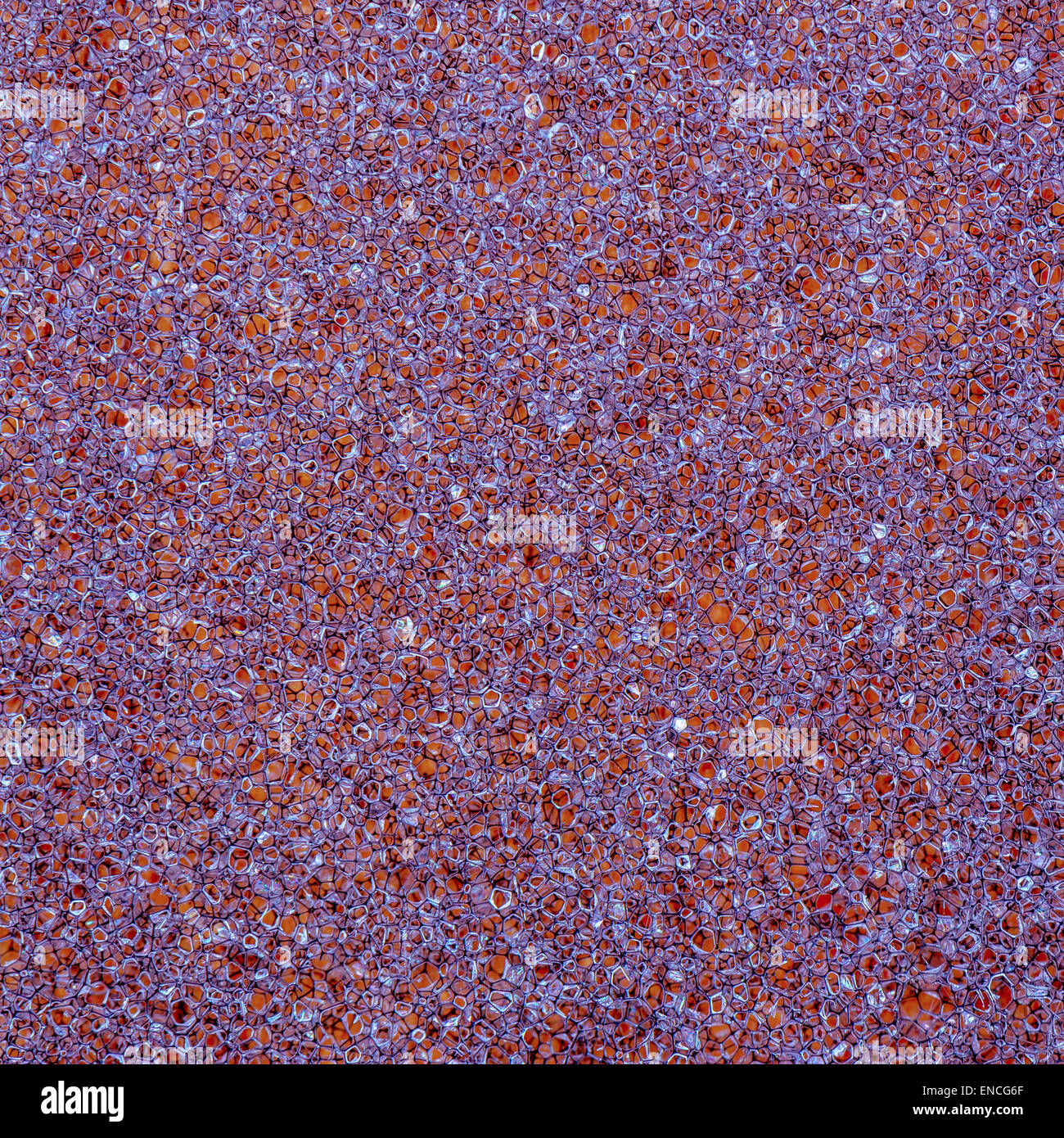 Texture da una schiuma presi in macro e trasformati a colori Foto Stock