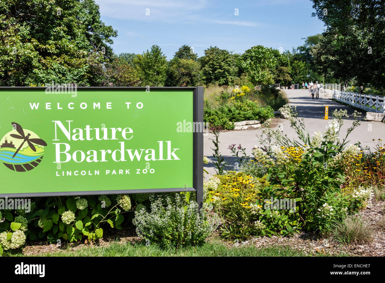 Chicago Illinois, North Side, Lincoln Park, Zoo, parco pubblico, cartello, ingresso, passeggiata nella natura, giardino, fiori, alberi, IL140908060 Foto Stock