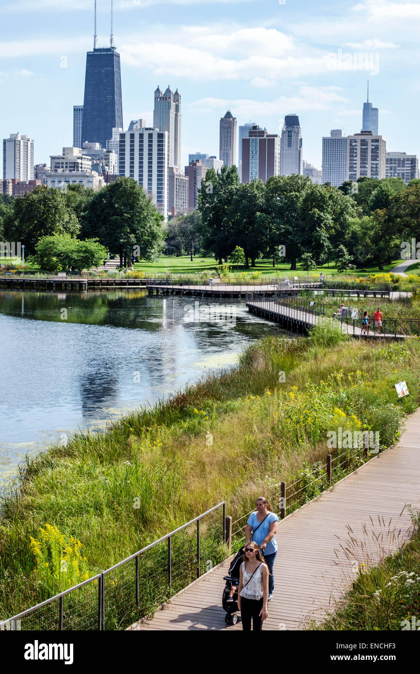 Chicago, Illinois, North Side, Lincoln Park, Lincoln Park Zoo, parco pubblico, Nature Boardwalk, ecosistema, piante native, prateria, fiori selvatici, stagno, skyline, skysc Foto Stock