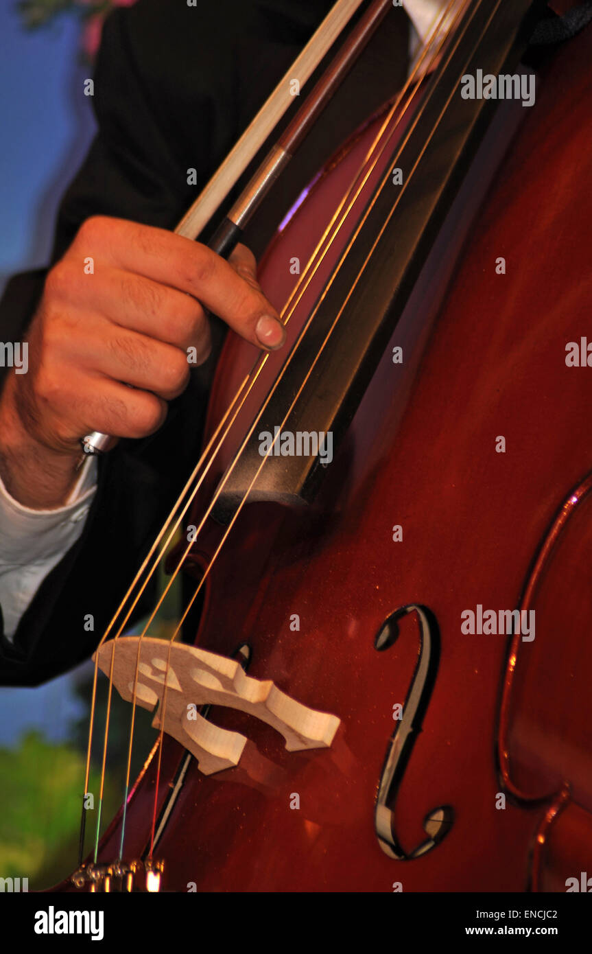 Dettaglio delle dita spiumatura violoncello di stringhe Foto Stock