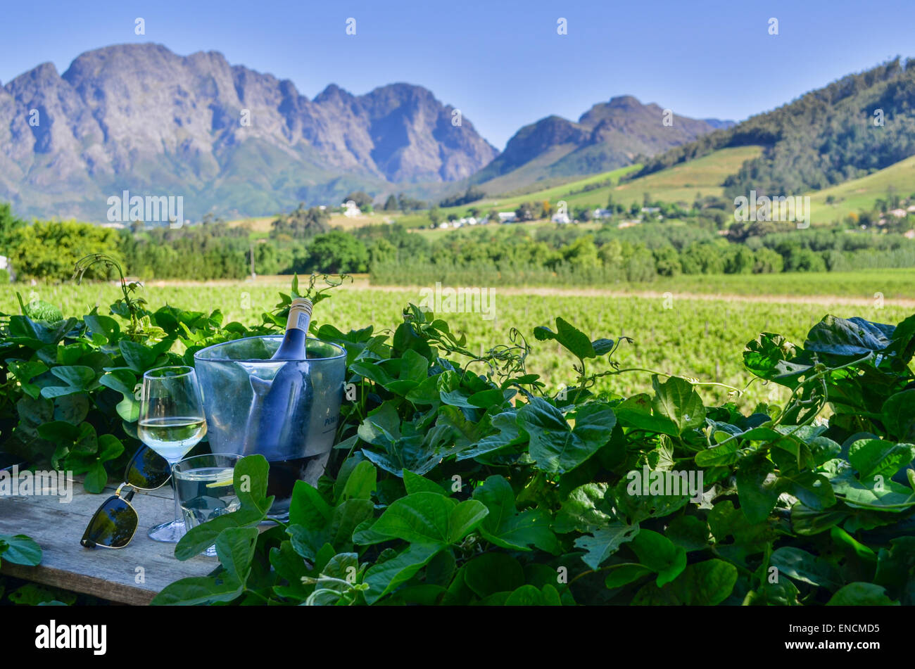 Una bottiglia di vino, occhiali da sole e di fronte il paesaggio di vigneti di Franschhoek, Sud Africa Foto Stock