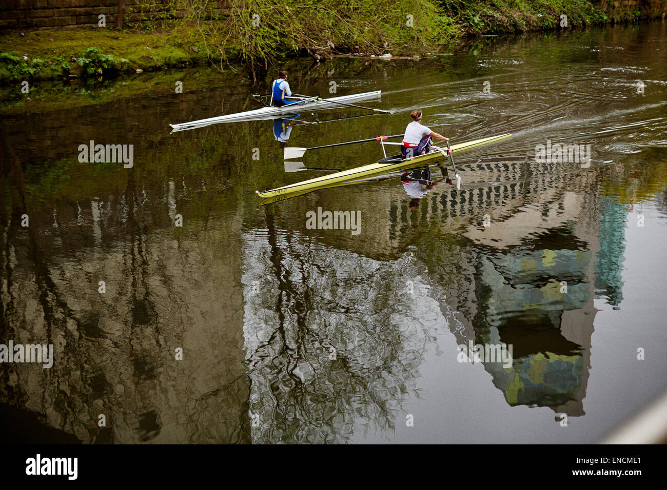 Barche a remi sul fiume Irwell con il Civico Palazzo di Giustizia riflettendo int egli acqua Foto Stock