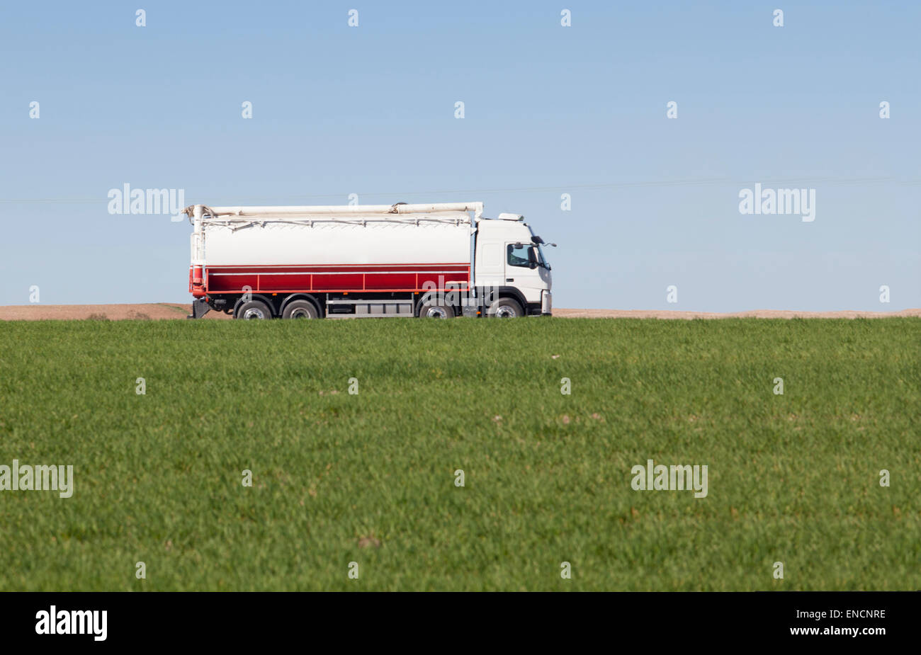 Carrello passante su di un verde campo agricolo di cereali in primavera Foto Stock