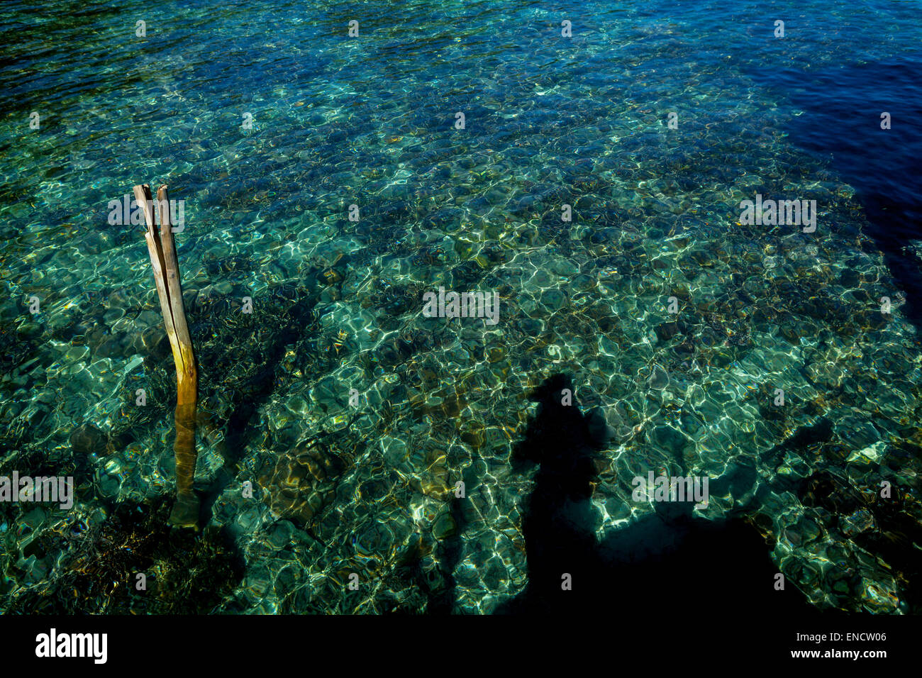L'acqua costiera è fotografata da un molo di un eco-Lodge nel villaggio ecoturismo Sawai nel Nord Seram, Maluku Centrale, Maluku, Indonesia. Foto Stock