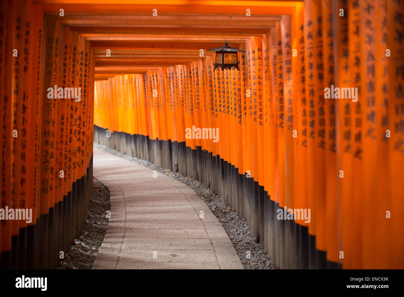 Fushimi Inari Taisha, Kyoto, Giappone. Foto Stock