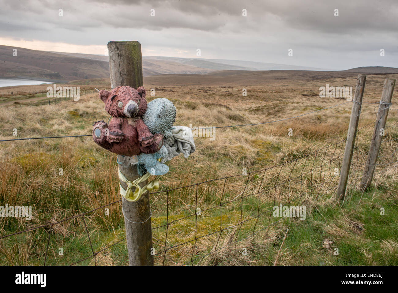 Keith Bennett memorial su Saddleworth Moor Foto Stock
