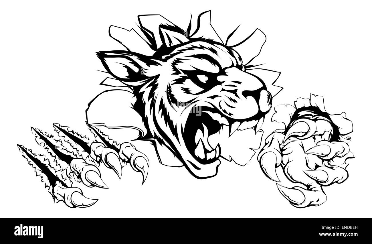 Un pauroso tiger mascot ripping attraverso lo sfondo con artigli affilati Foto Stock
