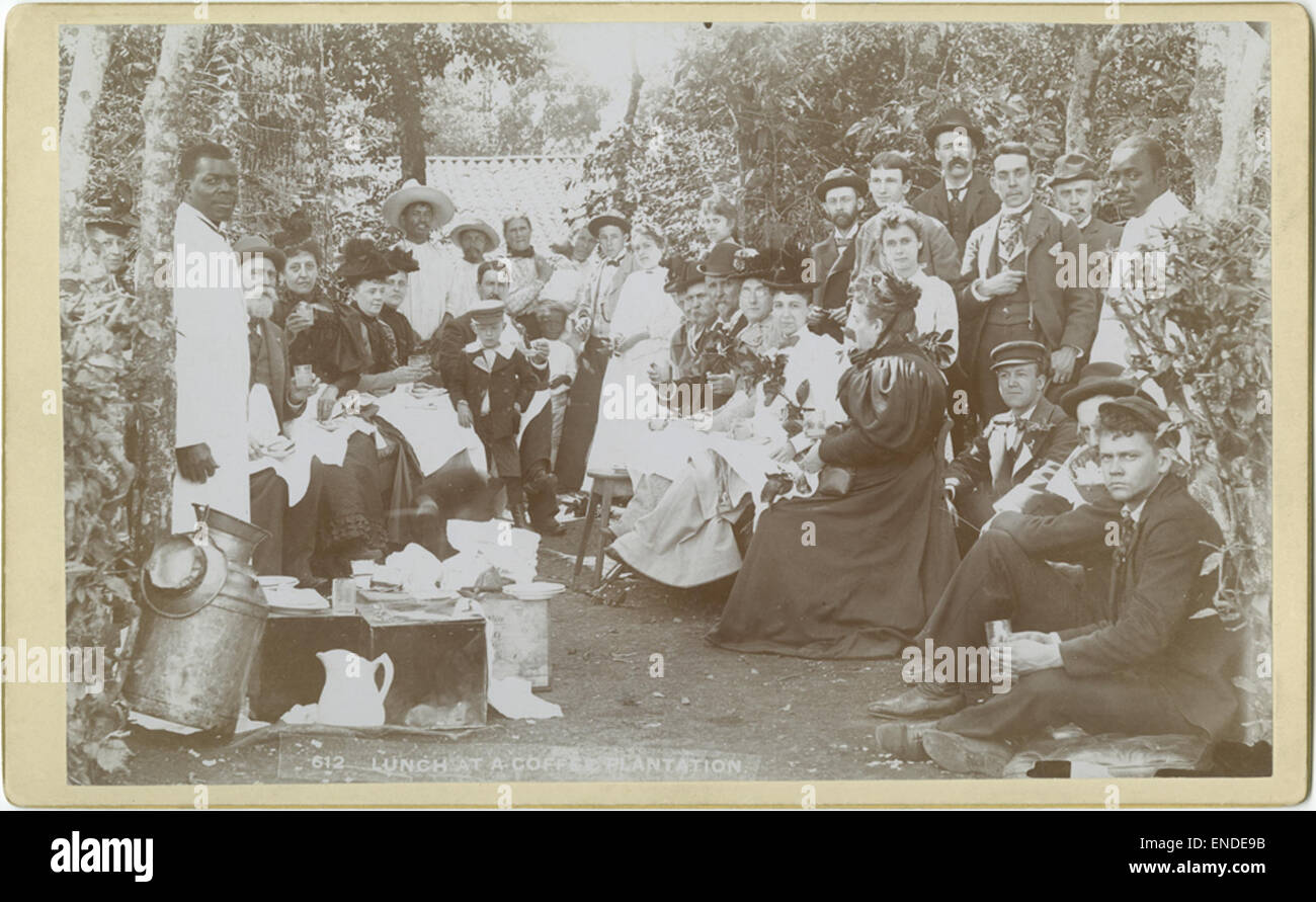Questa immagine storica raffigura gli afroamericani in una piantagione di caffè in Messico, gustando un pasto all'aperto. La scena mette in evidenza la vita quotidiana e il lavoro nelle piantagioni, fornendo informazioni sulla vita dei lavoratori in contesti agricoli durante questo periodo. La visuale offre anche uno sguardo sul rapporto tra gli afroamericani e il loro ambiente in Messico. Foto Stock