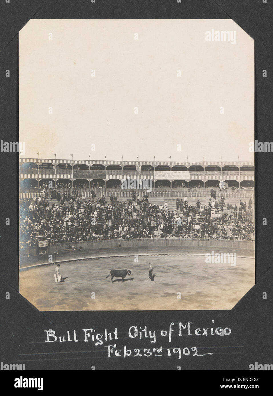 Bull lotta, Città del Messico, Feb 23rd, 1902 Foto Stock
