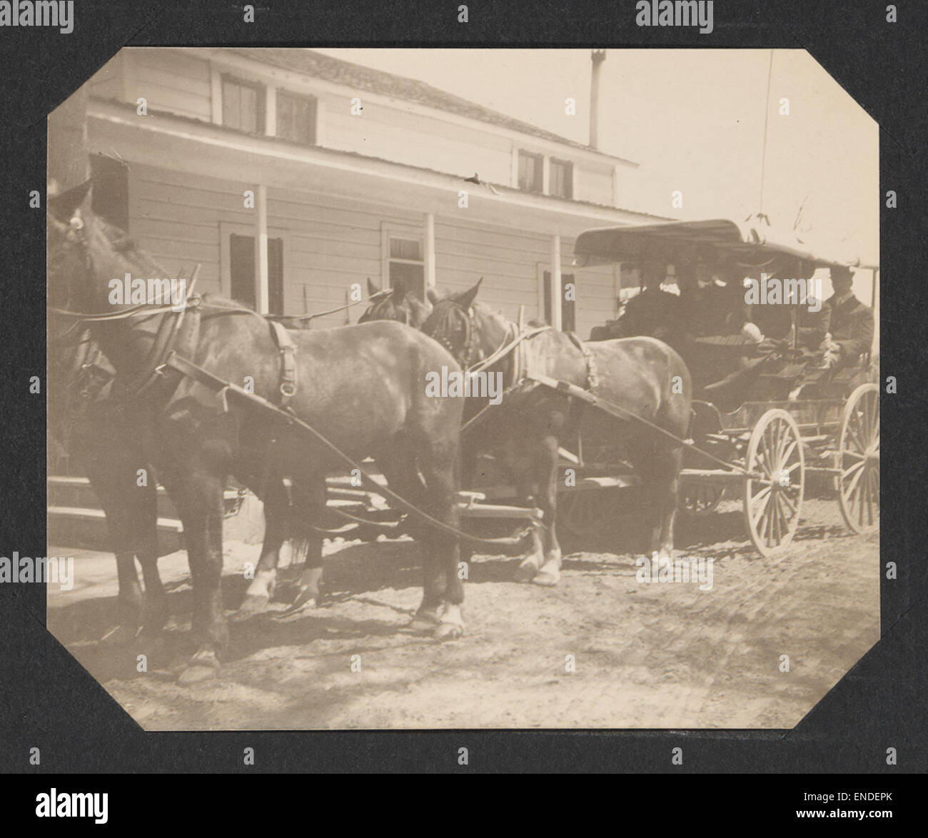 L'immagine cattura una scena di carrozze trainate da cavalli e carrozze utilizzate dai turisti negli Stati Uniti occidentali. Riflette la tradizione di utilizzare squadre di cavalli per i trasporti e il turismo nella regione. Foto Stock