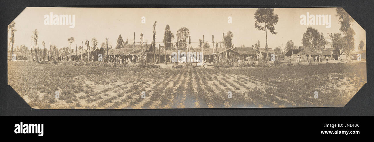 Questa vista panoramica mostra un villaggio messicano circondato da terreni coltivati. Il paesaggio cattura l'ambiente rurale, mostrando la vita agricola e la struttura comunitaria tipica di molti villaggi del Messico. Foto Stock