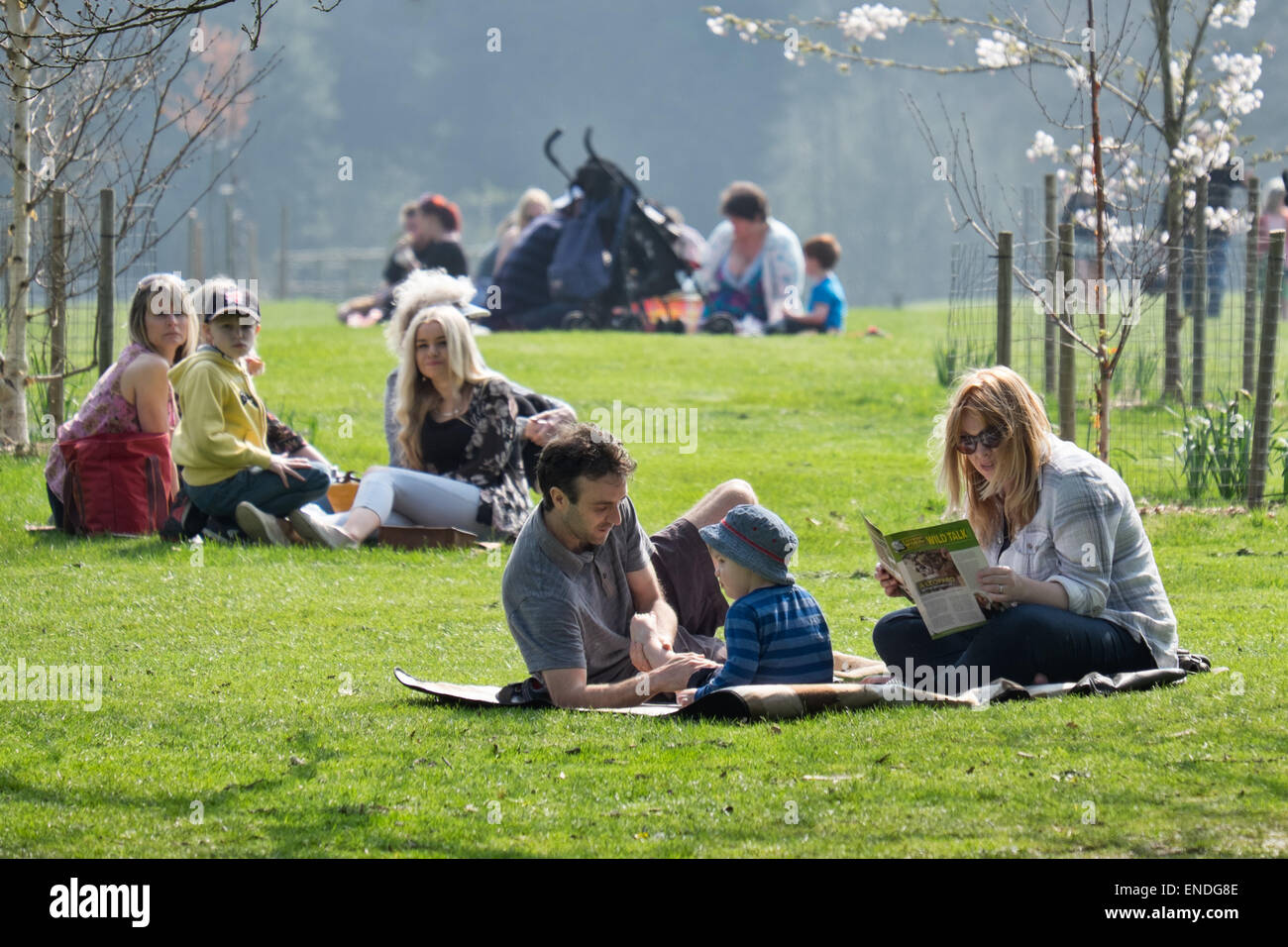 Famiglie rilassante, fare picnic & godendo il sole insieme in un parco nel Regno Unito Foto Stock