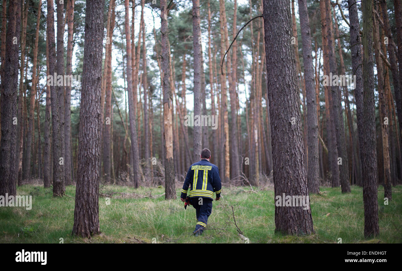 Stendal, Germania. Il 3 maggio, 2015. Task force delle forze di polizia e vigili del fuoco cerca una foresta nel distretto di Stendal, Germania, 03 maggio 2015. Una bambina di cinque anni è scomparso dal momento che la sera precedente. La ragazza dalla città Schoenebeck voluto raccogliere legna nella foresta del distretto Wilhelmshof con altri bambini e è stato assente da allora. Credito: dpa picture alliance/Alamy Live News Foto Stock