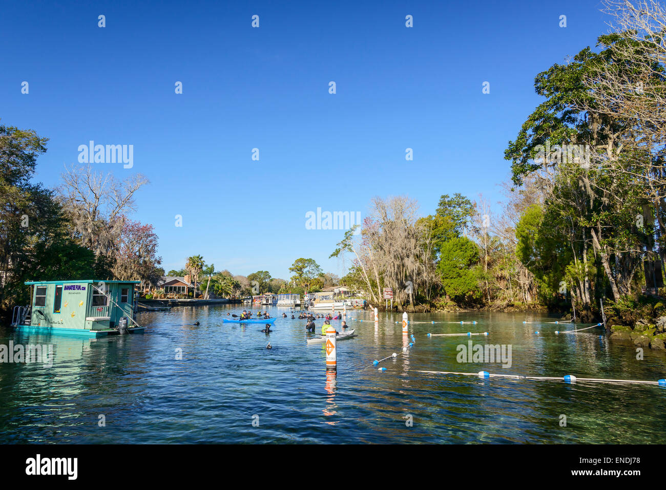 I turisti con barche vicino il lamantino santuario da tre sorelle al di fuori, Kings Bay, Crystal River, Citrus County, Florida, Stati Uniti d'America Foto Stock