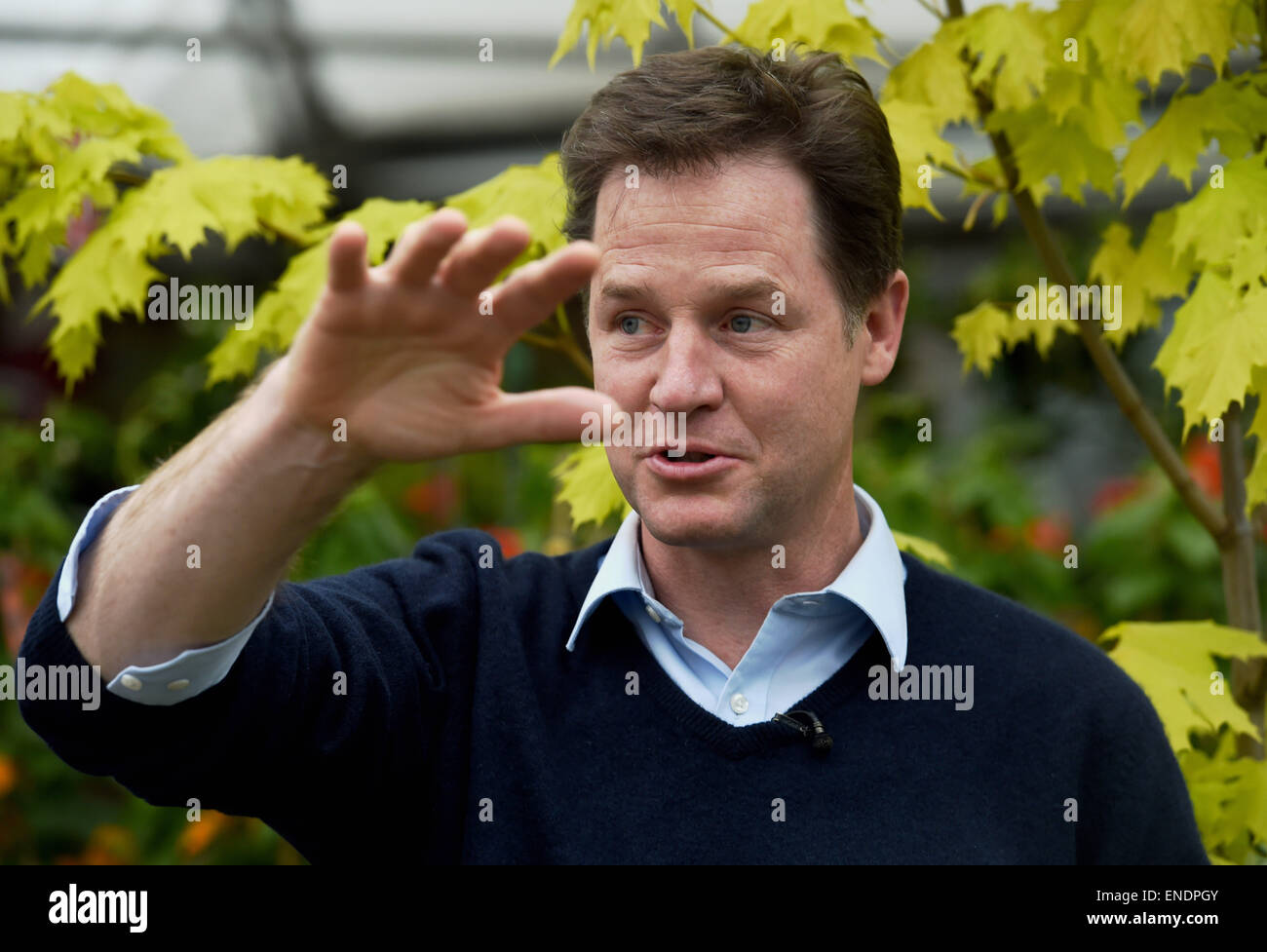 Newhaven Sussex Regno Unito il 3 maggio 2015 - Nick Clegg il leader dei democratici liberali e il vice Primo ministro durante la sua visita al Paradise Park Center Newhaven oggi Foto Stock