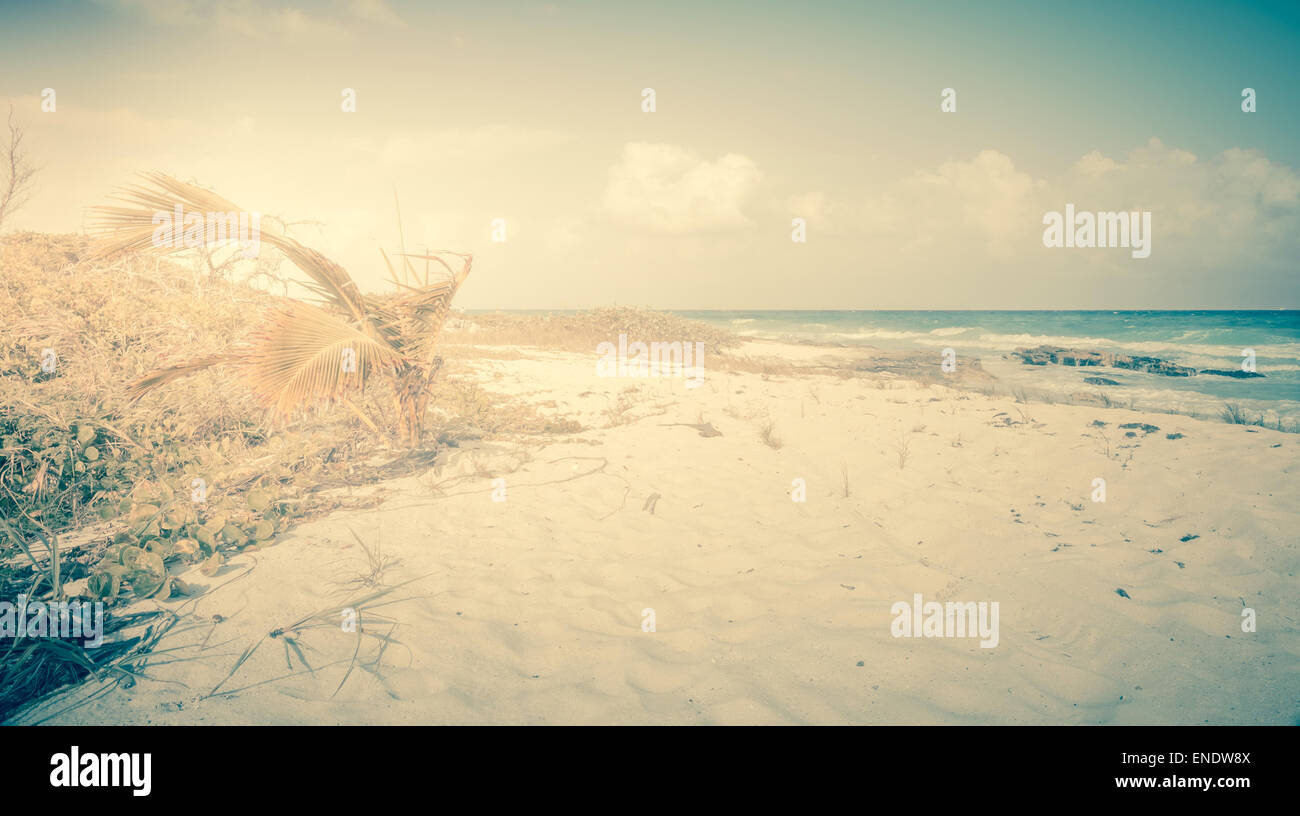 In stile vintage foto della spiaggia dei Caraibi e mare Foto Stock