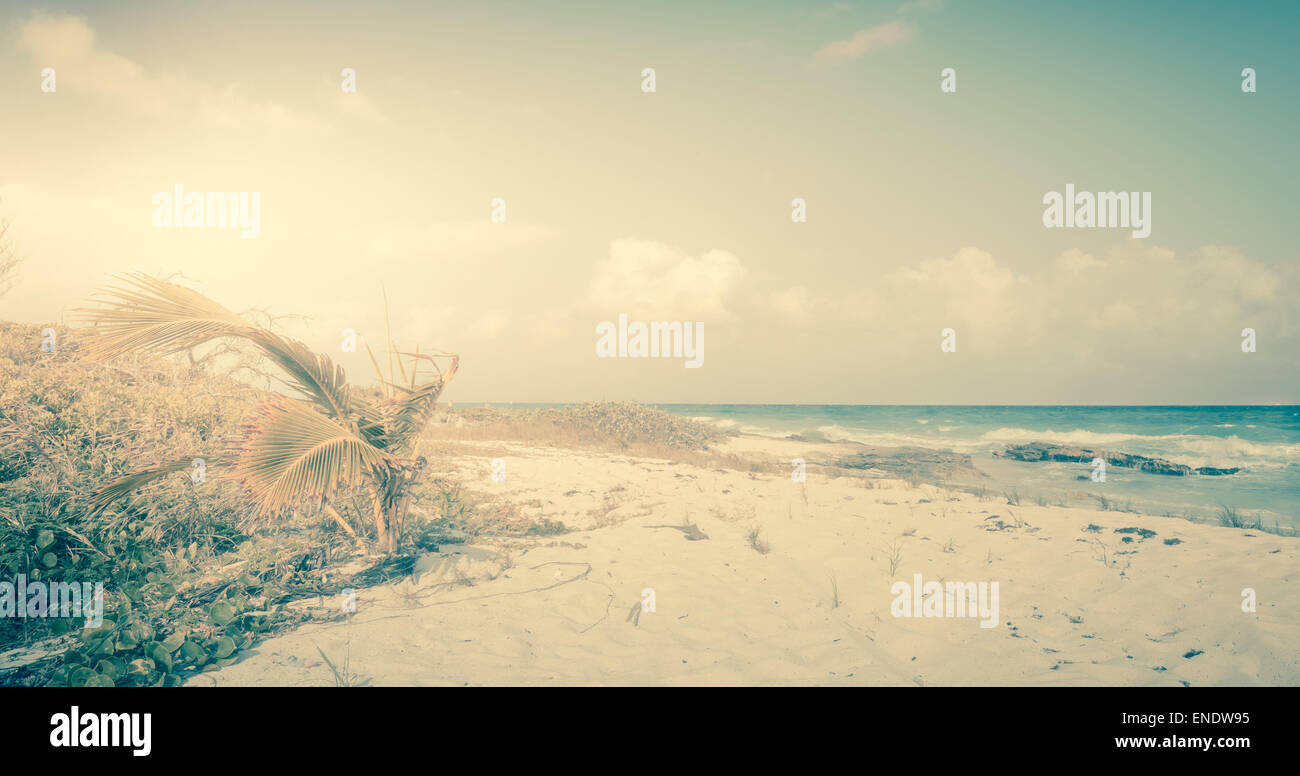 In stile vintage foto della spiaggia dei Caraibi e mare Foto Stock