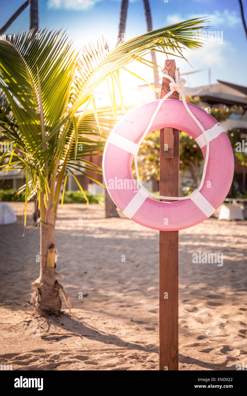 La vita della cinghia sulla spiaggia caraibica in Repubblica Dominicana Foto Stock