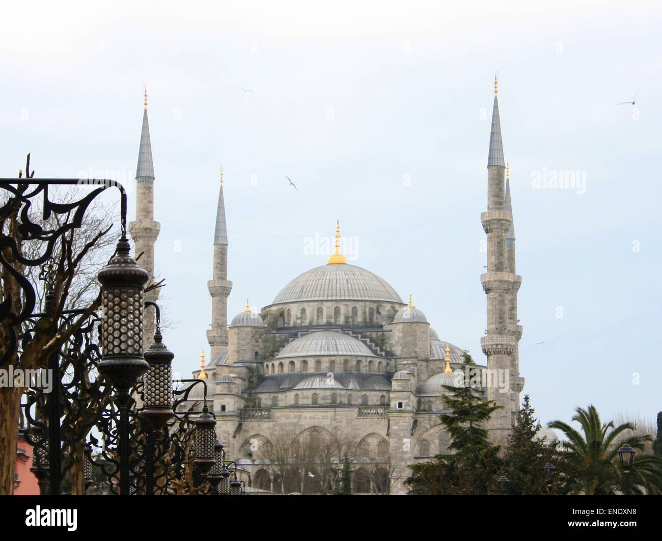 La Moschea Blu di Istanbul Foto Stock