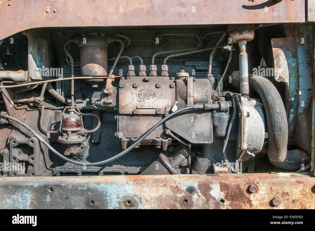 Il motore del vecchio Fordson Major trattore Foto Stock