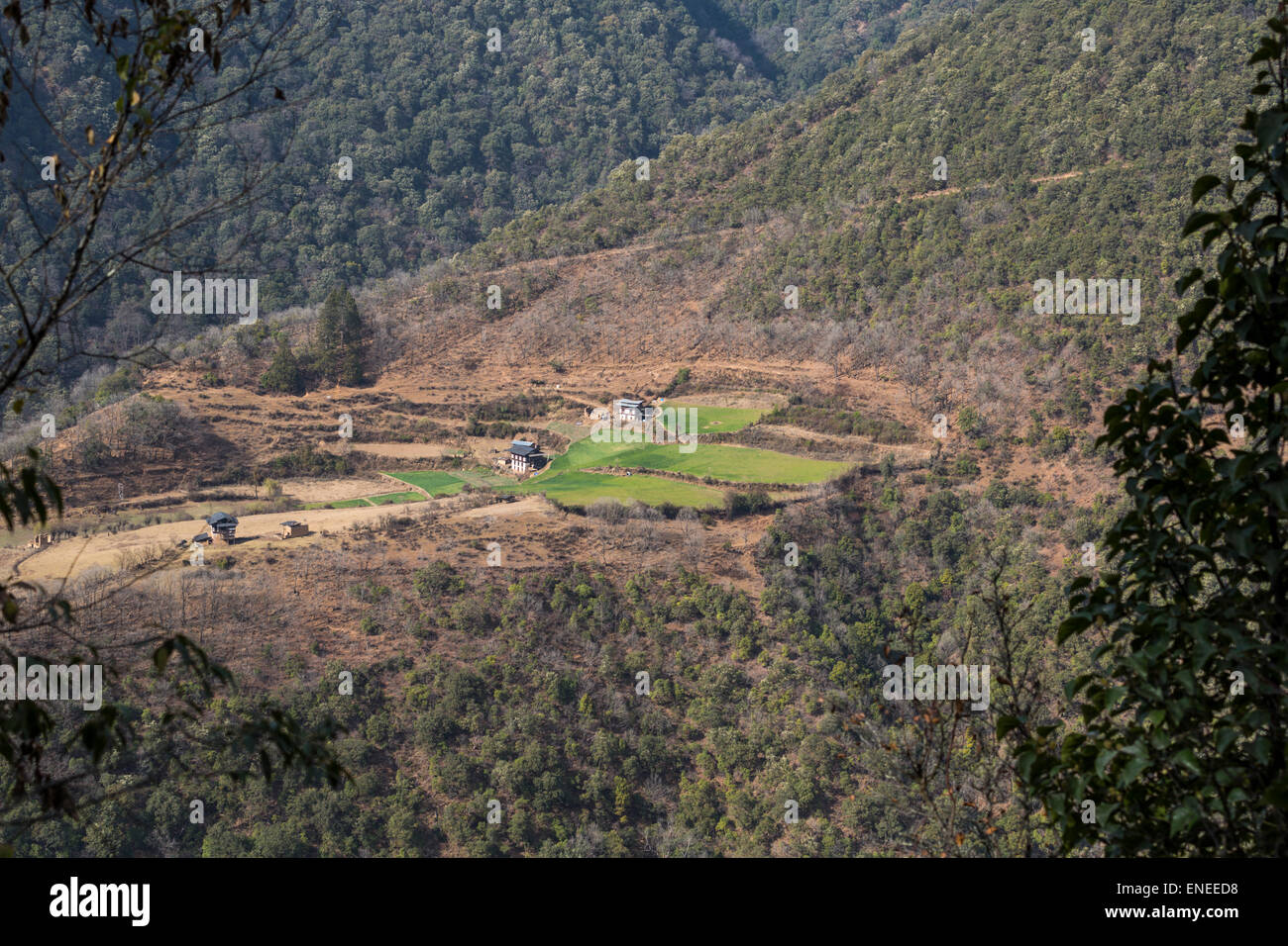 Azienda Agricola case e campi in collina in Western Bhutan - Asia Foto Stock