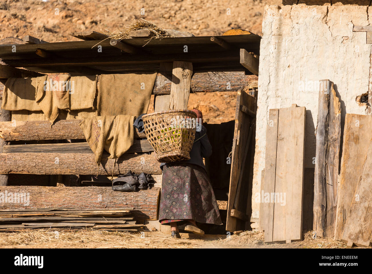 Donna con cesto di entrare farm shed, Gangtey, Phobjikha Valley, Western Bhutan - Asia Foto Stock