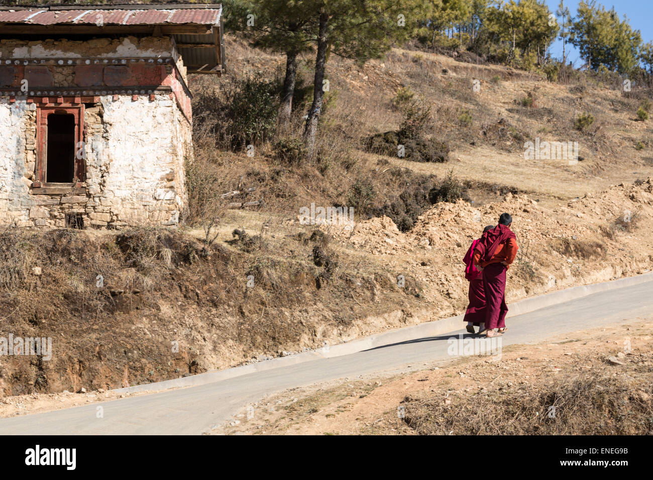 I monaci vicino monastero Gangtey, Phobjikha Valley, Western Bhutan - Asia Foto Stock