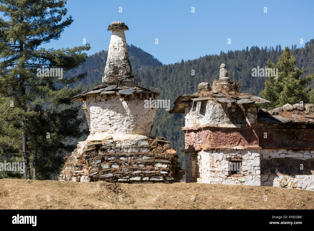 Mane parete vicino il monastero Gangtey, Phobjikha Valley, Western Bhutan - Asia Foto Stock
