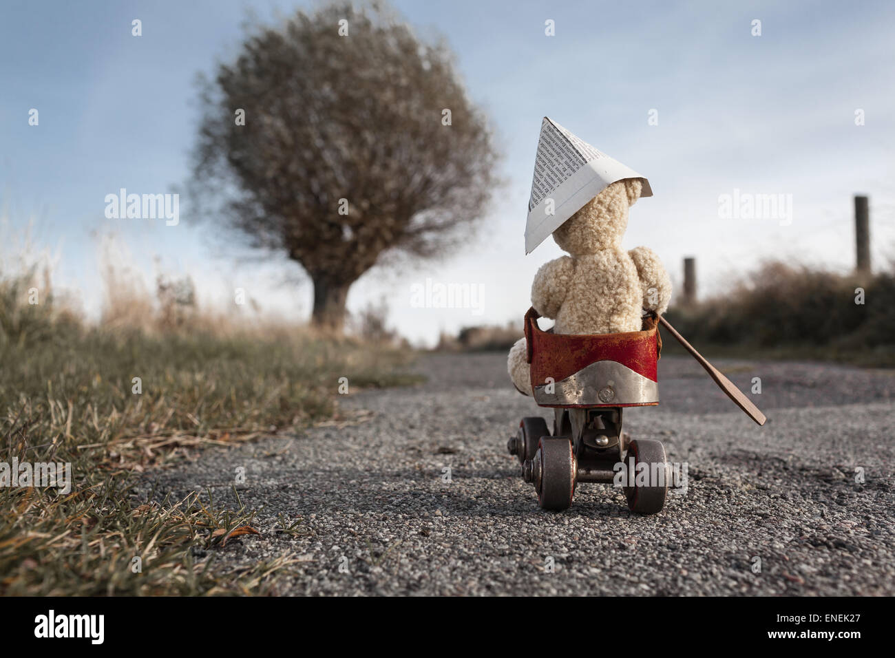 Un orsacchiotto rigidi mediante un pattino a rotelle del veicolo su una piccola strada di campagna Foto Stock