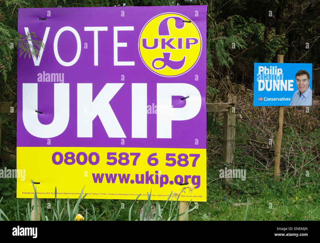 Shropshire, Regno Unito. Durante il 2015 elezione generale di un grande poster UKIP domina una piccola targhetta conservatore Foto Stock