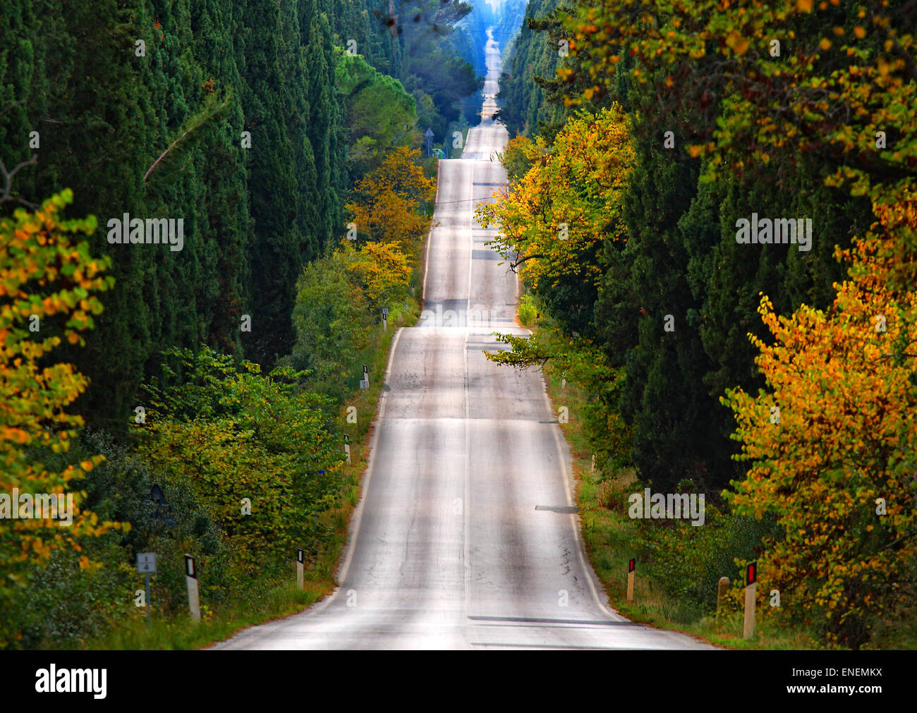 La strada dei cipressi in Toscana Foto Stock