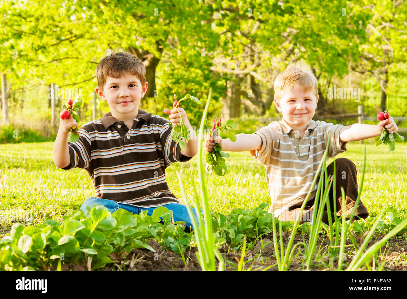 Bambini holding ravanelli prelevato dal giardino di primavera Foto Stock