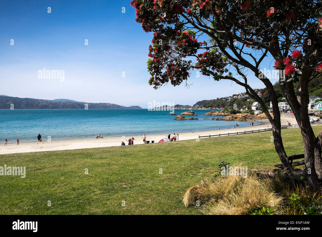 Spiaggia di Baia di scorching, Wellington, Nuova Zelanda. Foto Stock