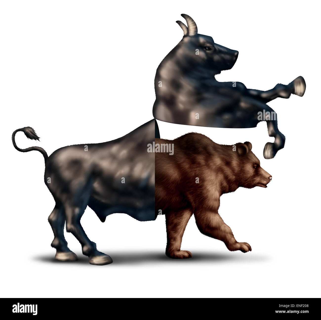 Orso di correzione del mercato finanziario il concetto di business come un toro di apertura e rivelando un emergente bearish mercato azionario come una metafora per il cambiamento nel sentimento di investimento e i mercati si diresse verso territorio negativo. Foto Stock