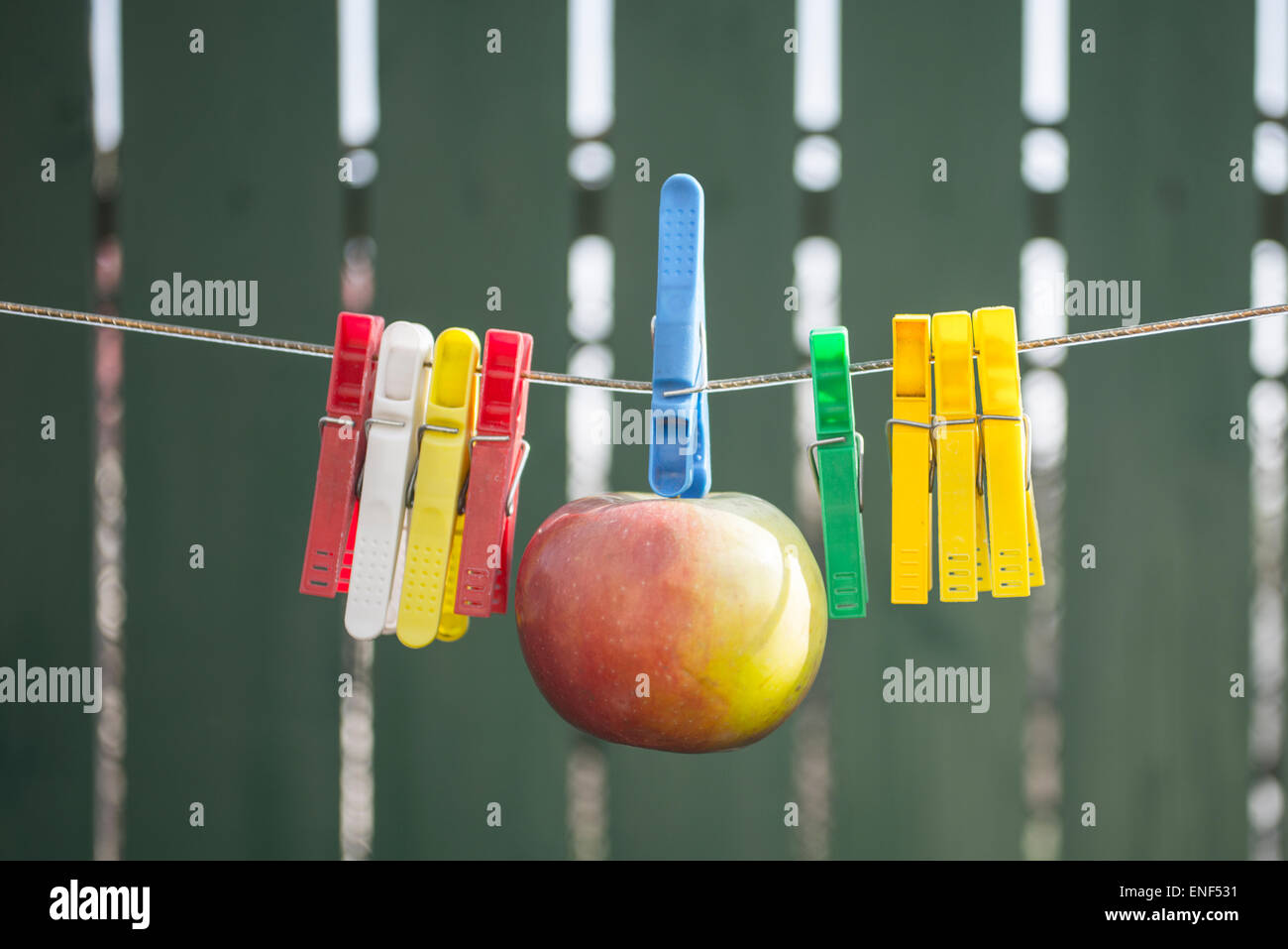 Apple appendere su fune tra morsetti su sfondo verde Foto Stock