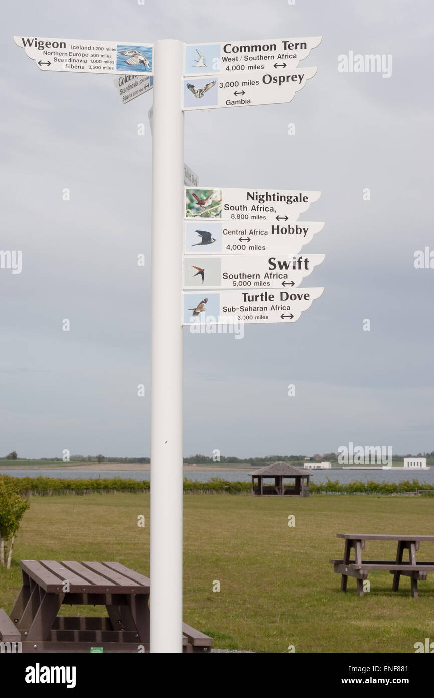 Cartello con i dettagli della migrazione di uccelli dal bacino idrico di Abberton, Essex, un sito paludoso di importanza internazionale Foto Stock