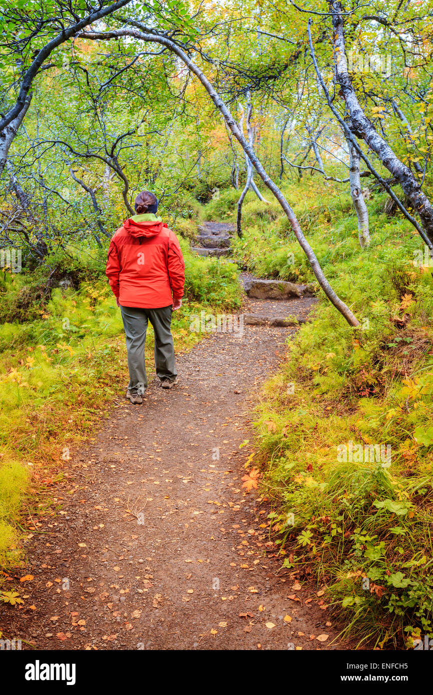Tourist è camminare attraverso la foresta sul fondo del canyon Asbyrgi nel nord dell'Islanda Foto Stock