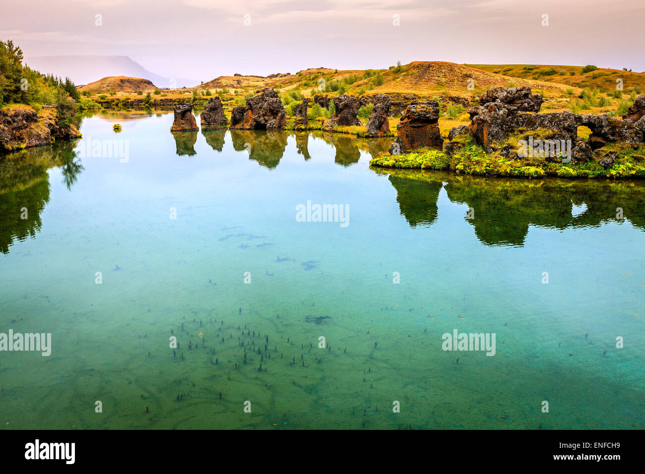 Formazioni di roccia vulcanica nel Lago Myvatn nel nord dell'Islanda Foto Stock