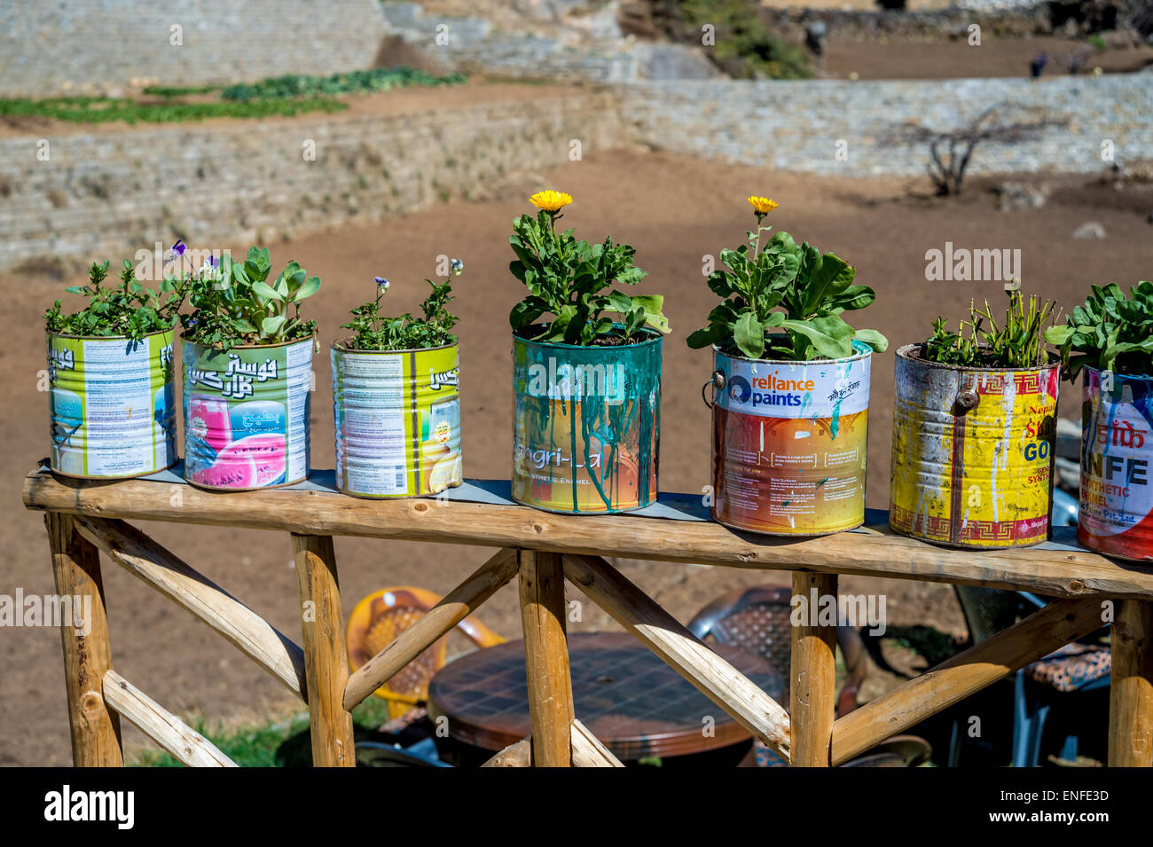 Vasi da fiori fatti di paint pots in Nepal Foto Stock