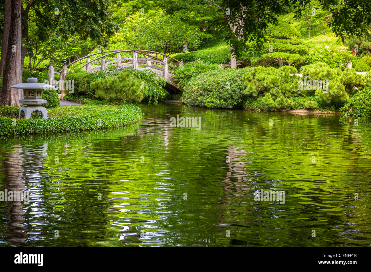 Silenziosa e tranquilla natura outdoor scena in giapponese Giardini Botanici a Fort Worth, Texas, Stati Uniti d'America. Foto Stock
