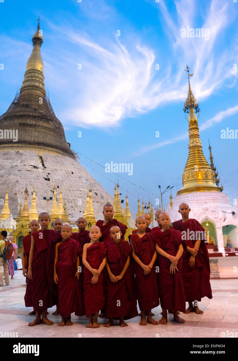 I novizi della Shwedagon pagoda Yangon, Myanmar Foto Stock