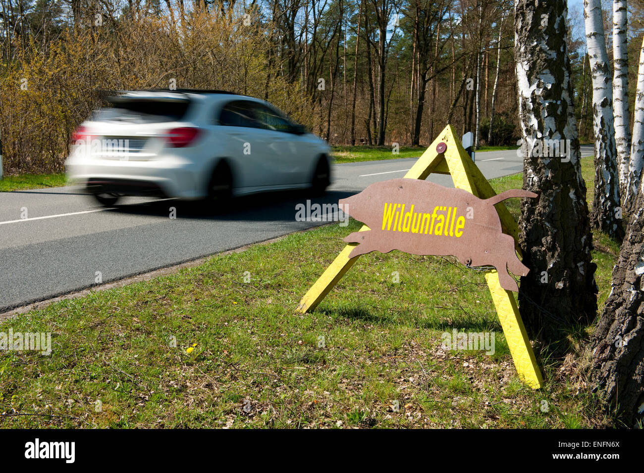 Segno con la parola tedesca "Wildunfälle' con un passaggio auto, pericolo di incidenti della fauna selvatica, Bassa Sassonia, Germania Foto Stock