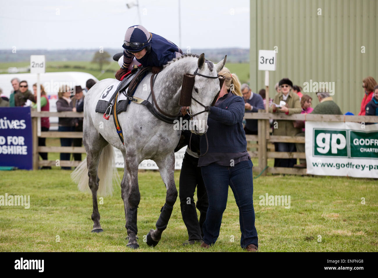 Jockey femmina ottenendo una gamba in alto su una corsa di cavalli in anello di raccolta prima di una gara Foto Stock