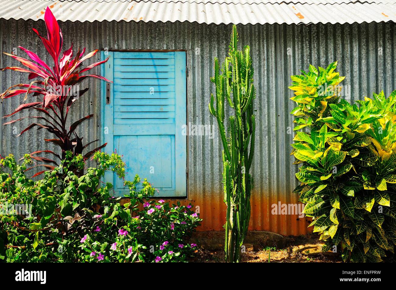 Ferro corrugato capanna con persiane blu, Kani-Kéli, Mayotte Foto Stock