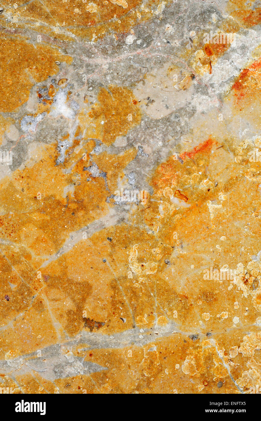 Close-up di un giallo e grigio marmo venato superficie Foto Stock