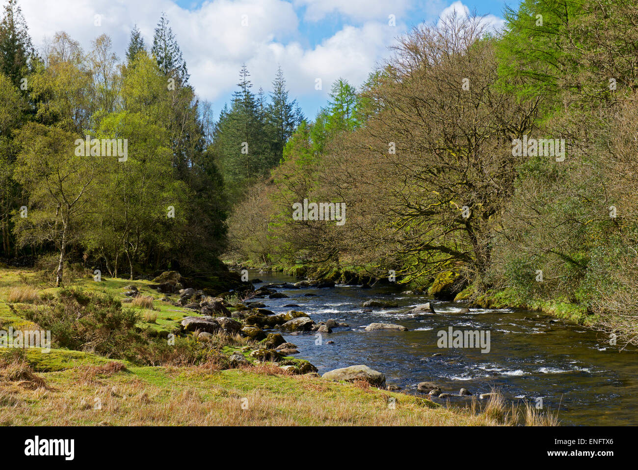 Il fiume Duddon, Duddon Valley, Parco Nazionale del Distretto dei Laghi, Cumbria, England Regno Unito Foto Stock