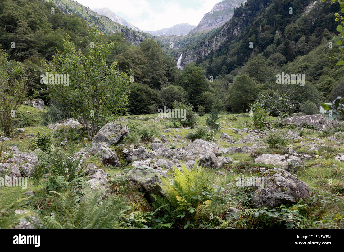 Una vista guardando verso la cascata in testa alla valle Riberot sul sentiero a Mont Valier, Ariège, Pirenei, Francia Foto Stock