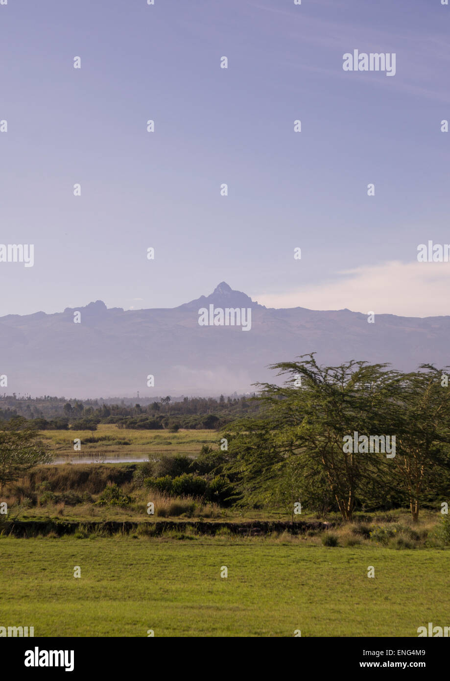 Spazio erboso di fronte al Monte Kenya, Contea di Laikipia, Nanyuki, Kenya Foto Stock